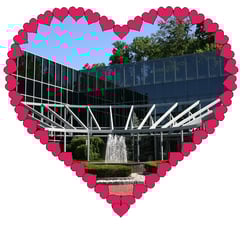 Pi-Dental-Skilled-And-Heartfelt.jpg