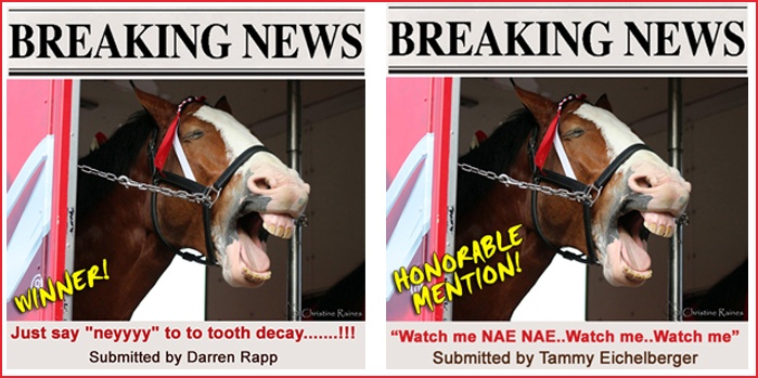 Pi Dental Implant Center Photo Caption Contest Winners